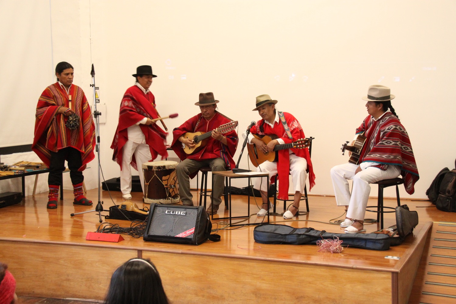 Grupo de música kapary