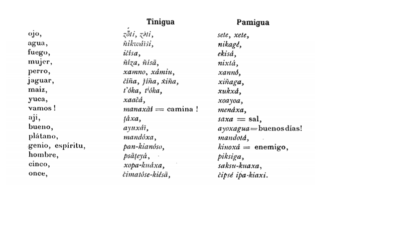 Imagen de vocabulario tinigua - pamigua.